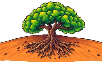 Your Future Fund Foundation: Laying the Groundwork for Growth