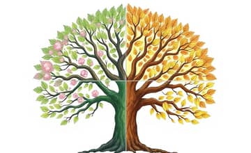 Demystifying Diversification: A Portfolio for All Seasons